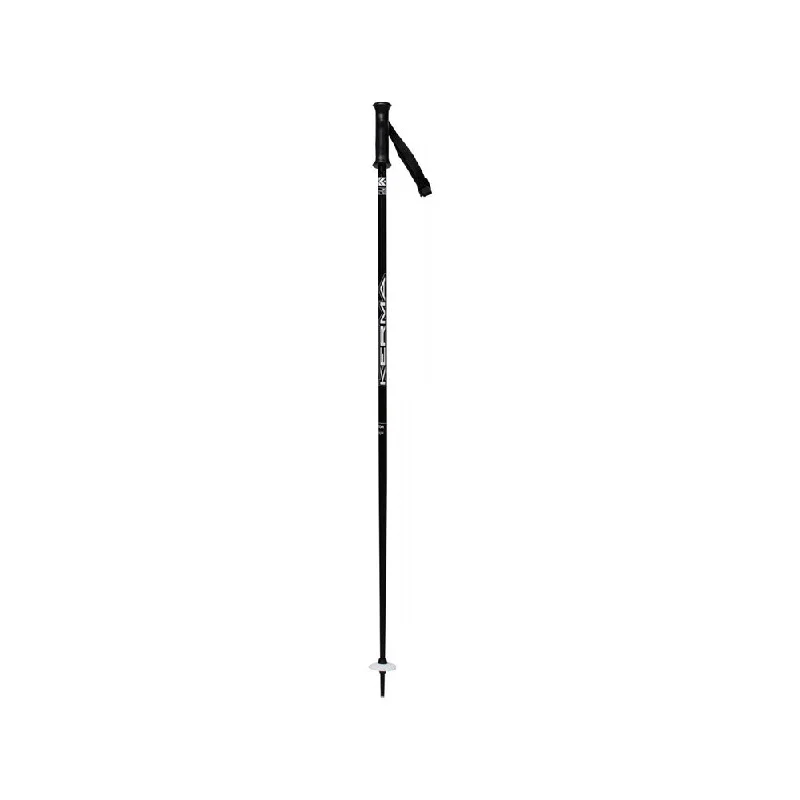 Vector Ski Poles