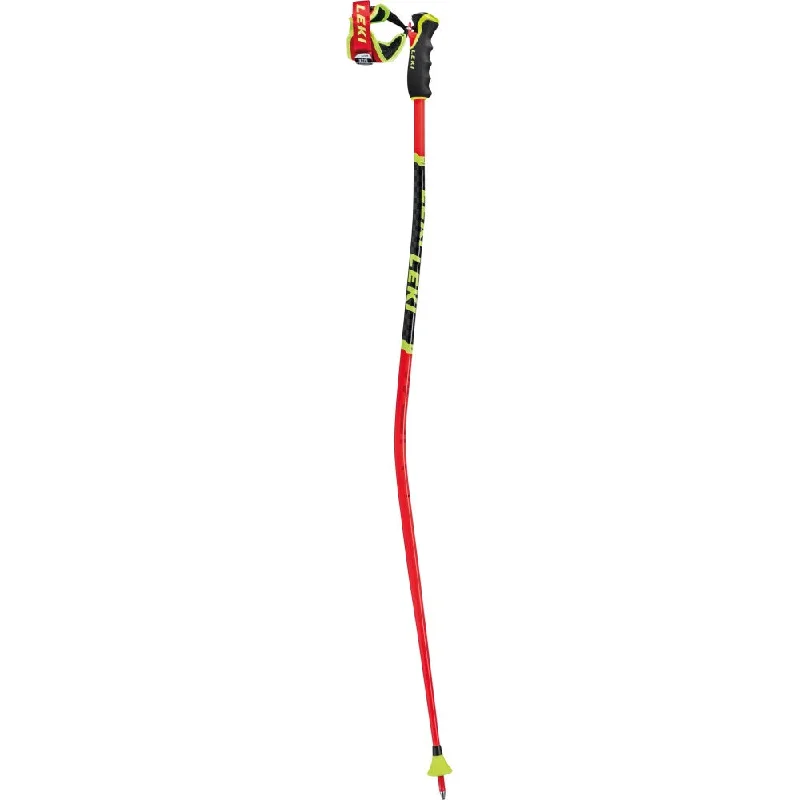 WCR TBS GS 3D Ski Poles